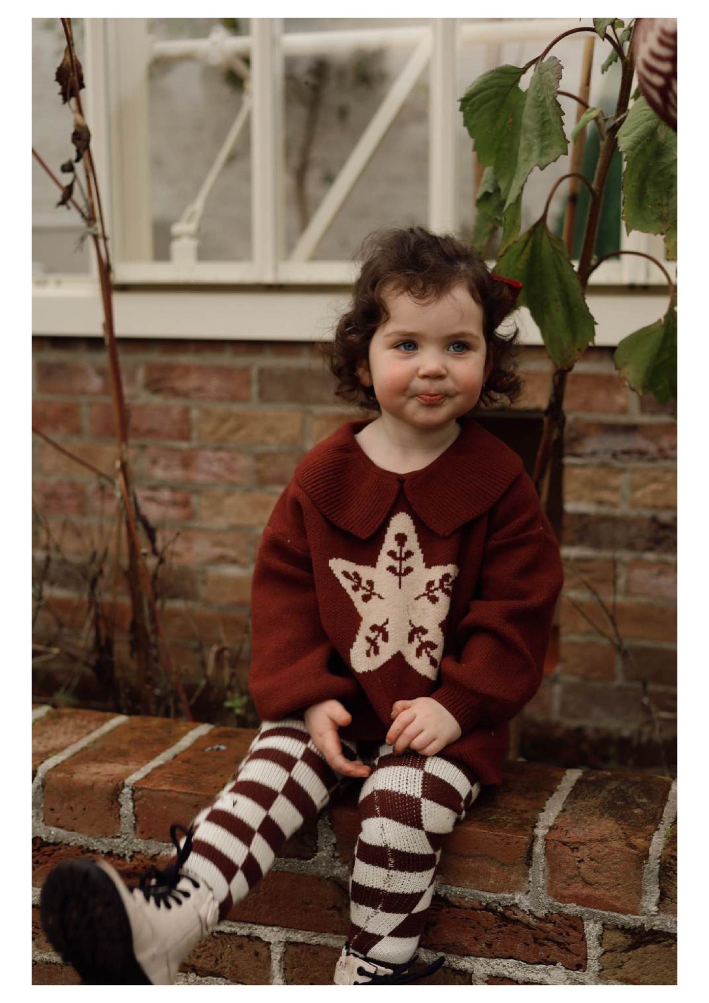 Burgandy Collar Knit | Floral Star Design | Super Soft Bamboo |