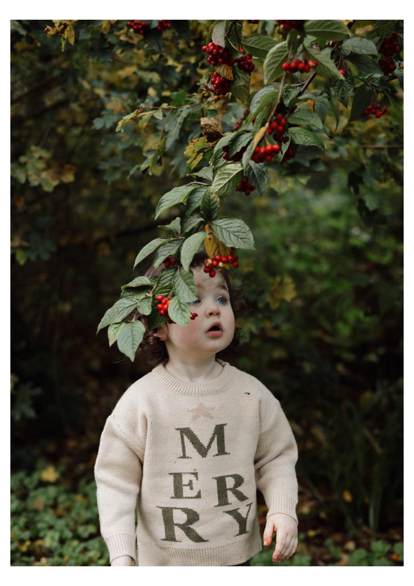 Chunky Merry Knit | Rich Forest Green| Super Soft Bamboo |